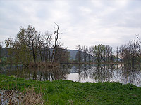 Velk rybnk (rybnk) - 