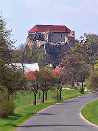 Pecka (hrad, zcenina hradu)