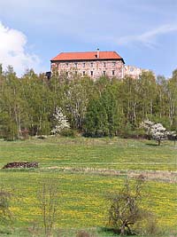 Pecka (hrad, zcenina hradu) - Pohled na hrad