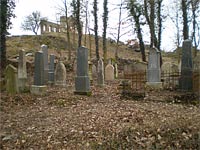 Židovský hřbitov pod Kamýkem - Osek (hřbitov)