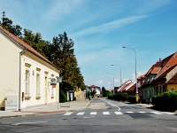 Pzenice (mstsk tvr) - 