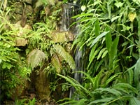 Botanick zahrada - Teplice (botanick zahrada) - Uml vodopd