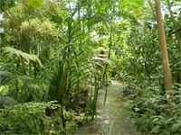 Botanick zahrada - Teplice (botanick zahrada) - Botanick zahrada