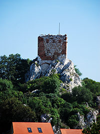 Koz hrdek - Mikulov (hrad)