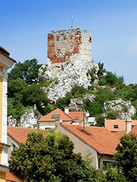 Koz hrdek - Mikulov (hrad) - 