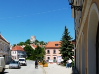 Koz hrdek - Mikulov (hrad) - 