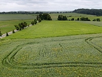 foto Rozhledna u Ocmanic (rozhledna)