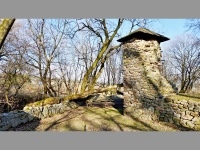 Zcenina tvrze - tmchy (tvrz) - 