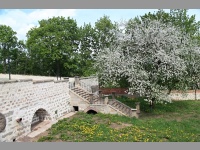 Broumovsk klter - Broumov (klter) - 