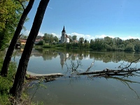 Bošilecký rybník - Bošilec (rybník)
