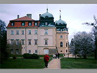 Lny (zmek) - 