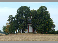 Kaple sv. Jana Nepomuckho - Hartmanice (kaple) - Kaple, skryt v korunch starch lip