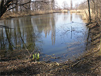 Holseck jezera (jezera) - Jezero Kocbka
