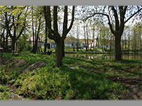 Rybnk - Bochovice (rybnk) - 