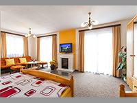 Penzion Minor - esk Budjovice (pension, restaurace) - 