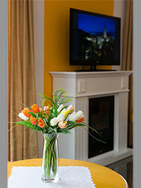 Penzion Minor - esk Budjovice (pension, restaurace) - 
