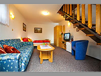 Penzion Minor - esk Budjovice (pension, restaurace) - 