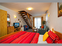 Penzion Minor - esk Budjovice (pension, restaurace) - 