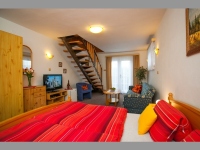 Penzion Minor - esk Budjovice (pension, restaurace) - 