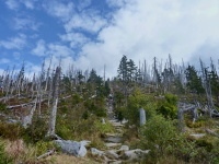Luzn (vrchol) - 