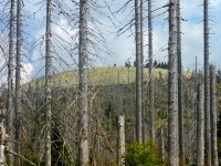 Luzn (vrchol) - 