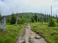 Luzn (vrchol) - 