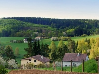 foto Lipov (obec)