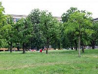 Bjrnsonv sad - Brno (park) - 