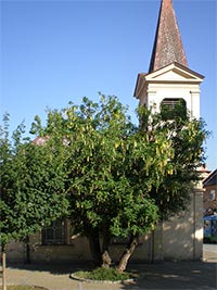 tdenec odvisl - Brno (prodn zajmavost) - tdenec odvisl