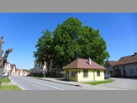 Doln Cerekev (mstys) - 