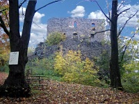 Hrad Vltejn (zcenina)