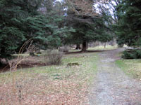 Americk zahrada - Chudenice (botanick zahrada, park) - Zahrada