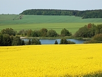 Drahany (mstys) - Drahany Nebesk rybnk 2