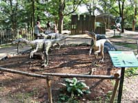 foto DinoPark - Plze (zoo) 