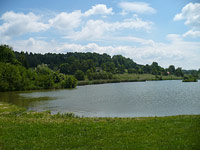 Velk staovsk rybnk (rybnk) - lev beh, od severu