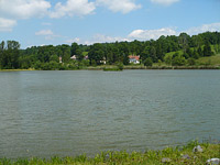 Velk staovsk rybnk (rybnk) - pohled od hrze