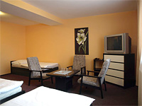Hotel Slvie - Cheb (hotel) - Pokoj