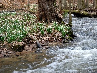 foto dol Chlbskho potoka (rezervace)