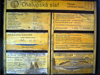 foto Chalupsk sla - Svinn Lada (prodn rezervace)