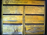 Chalupsk sla - Svinn Lada (prodn rezervace) - 