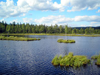 Chalupsk jezrko (jezero) - Jezrko