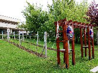 Symbolick obecn vinohrad - Brno-Bohunice (zajmavost) - Celkov pohled na vinohrad