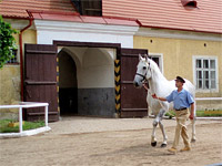 Nrodn hebn - Kladruby nad Labem (zajmavost) - Stje
