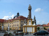 Sloup Nejsvtj Trojice - Jaromice nad R. (drobn pamtka) - 