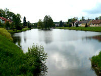 
                        Návesní rybník - Dolní Rožínka (rybník)