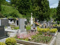 Hřbitov - Starý Svojanov (hřbitov)