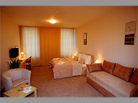 Hotel Cyro - Brno-Star Brno (hotel) - Pokoj