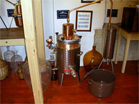 Muzeum lidovch plenic - Vlnov (muzeum) - Expozice