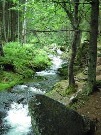 Bl Opava (naun stezka) - 