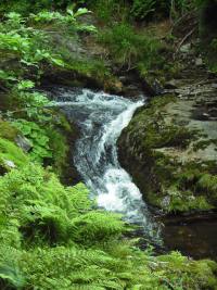 Bl Opava (naun stezka) - 